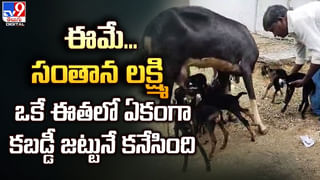 Viral: నాలుగేళ్ల తర్వాత ఆస్ట్రేలియా నుంచి ఇంటికి బయల్దేరిన యువతి.. అంతలోనే..?