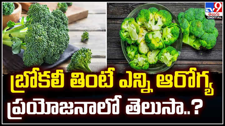 Broccoli: బ్రొకోలి తింటే ఎన్ని ఆరోగ్య ప్రయోజనాలో తెలుసా.? ముఖ్యంగా బరువు తగ్గాలంటే.. Broccoli: బ్రొకోలి తింటే ఎన్ని ఆరోగ్య ప్రయోజనాలో తెలుసా.? ముఖ్యంగా బరువు తగ్గాలంటే..