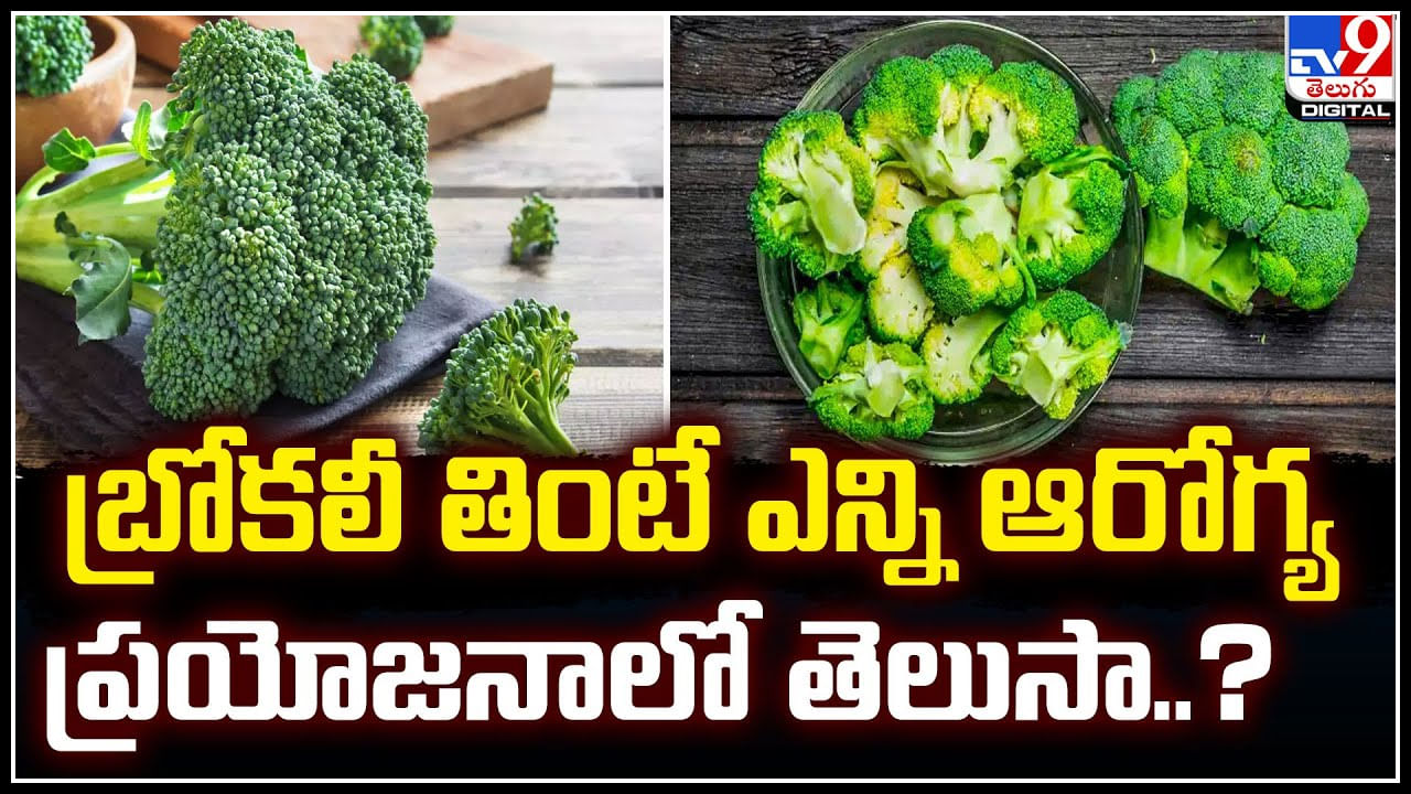 Broccoli: బ్రొకోలి తింటే ఎన్ని ఆరోగ్య ప్రయోజనాలో తెలుసా.? ముఖ్యంగా బరువు తగ్గాలంటే..