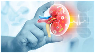 Period Acne: పీరియడ్స్‌ సమయంలో మొటిమలతో ఇబ్బంది పడుతున్నారా? ఈ ఒక్క ట్రిక్‌ ఫాలో అయ్యారంటే నో టెన్షన్..