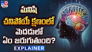 High-Speed Internet: ఒక్క సెకనులో 2 లక్షల సినిమాలు డౌన్​ లోడ్​.! ప్రపంచంలోనే హైస్పీడ్​ ఇంటర్నెట్​