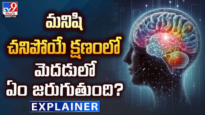 మనిషి చనిపోయే క్షణంలో మెదడులో ఏం జరుగుతుంది ?? మనిషి చనిపోయే క్షణంలో మెదడులో ఏం జరుగుతుంది ??
