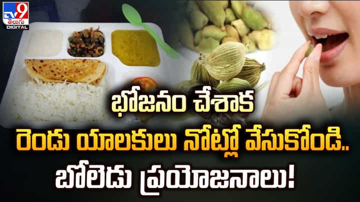 భోజనం చేశాక రెండు యాలకులు నోట్లో వేసుకోండి.. బోలెడు ప్రయోజనాలు !! భోజనం చేశాక రెండు యాలకులు నోట్లో వేసుకోండి.. బోలెడు ప్రయోజనాలు !!