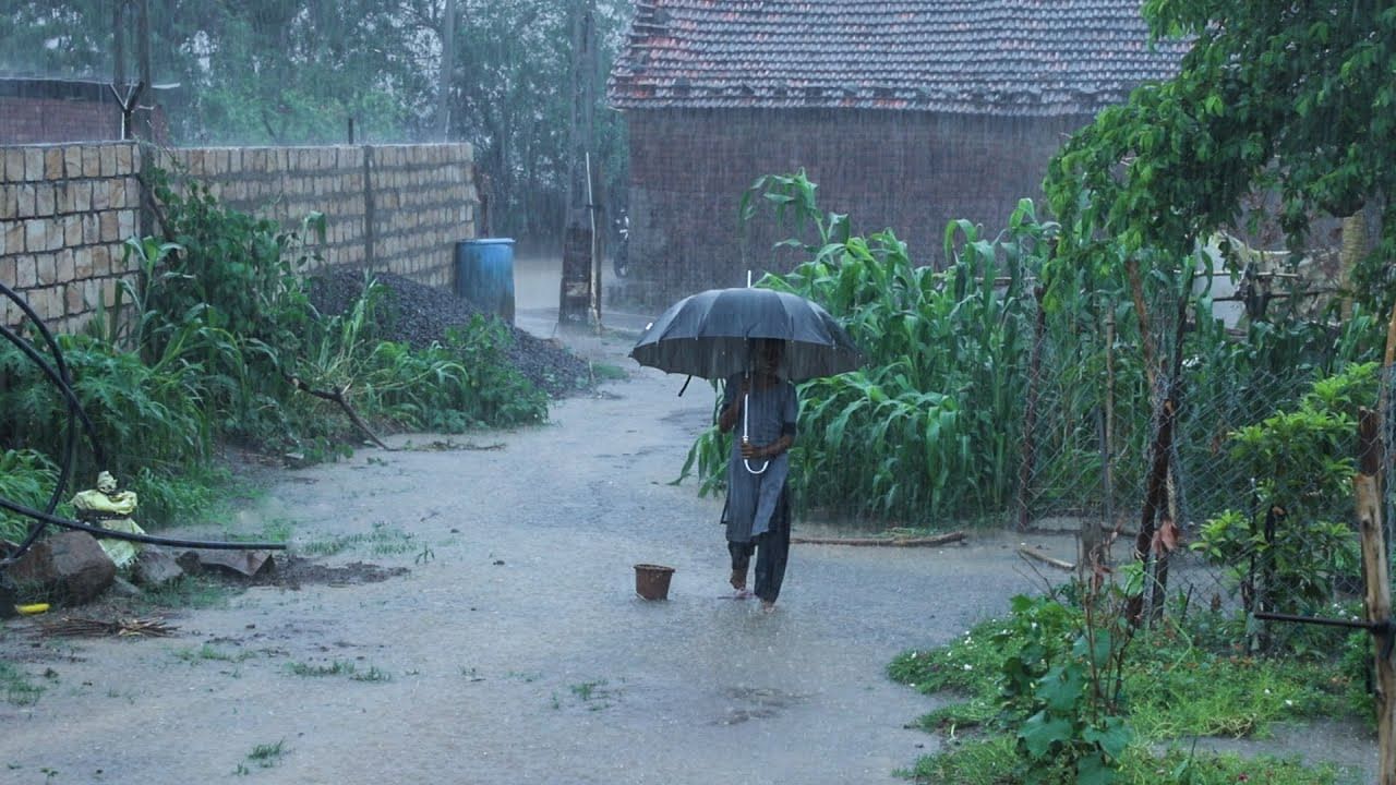 ఇలాంటి సమయంలో ఇమ్యూనిటీ పొంది.. హెల్దీగా ఉండాలంటే కొన్ని రకాల డ్రింకులు తాగడం మంచిది. వాటిల్లో మొదటిది.. దాల్చిన చెక్క వాటర్. గోరు వెచ్చటి నీటిలో కొద్దిగా దాల్చిన చెక్క పొడి, తేనె కలుపుకుని తాగుతూ ఉండాలి. ఇలా తాగడం వల్ల.. జబ్బులతో పోరాడే శక్తి లభిస్తుంది.
