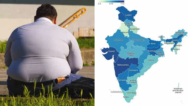 Health Survey: దేశంలో పెరిగిన ఊబకాయం.. అధిక బరువు సమస్య. కారణం అదేనా?