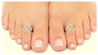 Diabetes Control Tips: బ్లడ్‌ షుగర్‌ని కంట్రోల్‌ చేసే మొక్కలు ఇవి..! క్రమం తప్పకుండా వాడితే మధుమేహం పరార్‌..!!