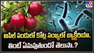 Snake’s Revenge: పాములు పగబడతాయన్న ప్రచారం వెనుక అసలు కథ ఏంటి.?