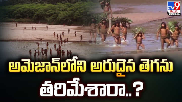 అమెజాన్ లోని అరుదైన తెగను తరిమేశారా ?? అమెజాన్ లోని అరుదైన తెగను తరిమేశారా ??