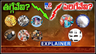 Budget 2024: తాజా బడ్జెట్ లో ధరలు తగ్గేవేవి.? పెరిగేవేవి.? ఇవే.. ఫుల్ లిస్ట్.