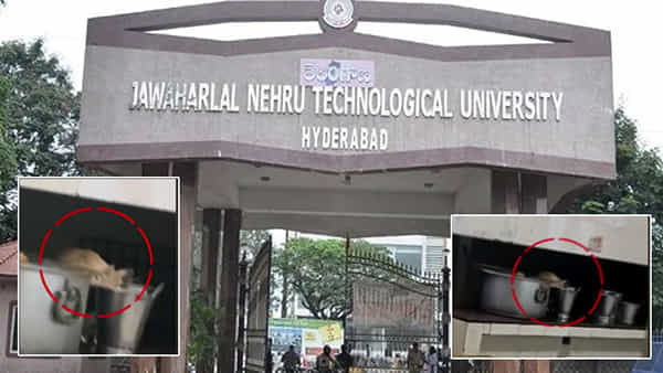 JNTU: నిన్న చట్నీలో ఎలుక.. నేడు పెరుగు తాగుతూ పిల్లి.. జేఎన్టీయూలో పరిస్థితి ఇదీ.. వామ్మో వీడియో చూస్తే..