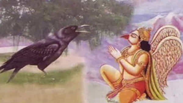Kakbhushundi: రామాయణంలో కాకభూషుండి ఎవరు? కాకిలా ఎవరి శాపం వలన మారాడో తెలుసా..