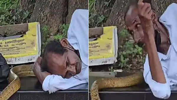 Viral News: అలసిపోయి చెట్టు కింద నిద్రపోయిన పెద్దాయన.. తల వద్ద ఏదో కదిలిన శబ్ధం.. లేచి చూడగా