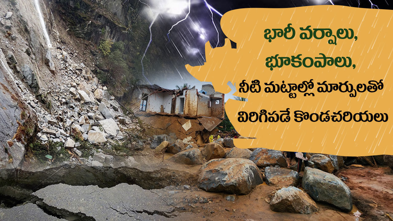 Kerala Wayanad Landslides 5