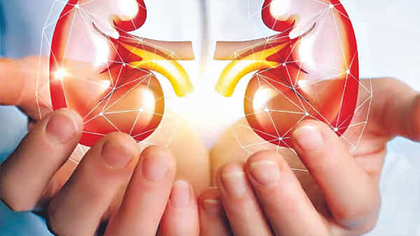 Kidney Racket: సామాన్యులే టార్గెట్గా దందా.. గుంటూరు కిడ్నీ రాకెట్ కేసులో కీలక పరిణామం