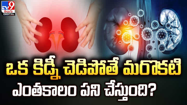 ఒక కిడ్నీ చెడిపోతే.. మరొకటి ఎంతకాలం పని చేస్తుంది ?? ఒక కిడ్నీ చెడిపోతే.. మరొకటి ఎంతకాలం పని చేస్తుంది ??