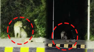 Watch Video: పార్టీ మారిన వ్యక్తిని.. కాంపౌండ్ బయటకు ఎత్తుకెళ్లి.. ఏం చేశారంటే..