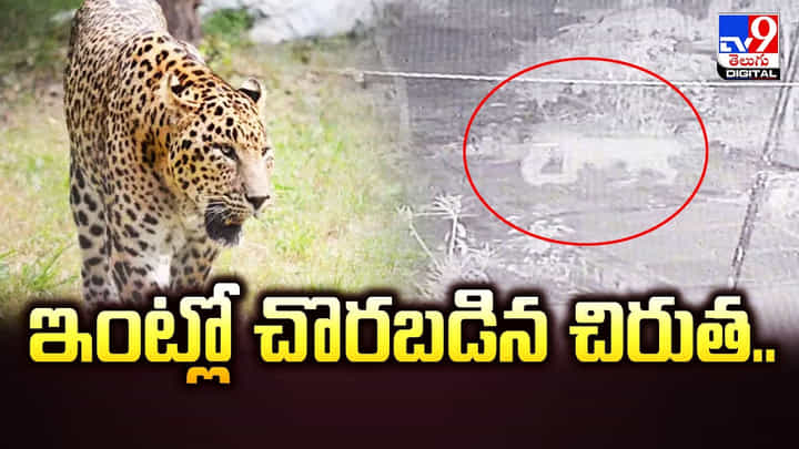 ఇంట్లో చొరబడిన చిరుత !! తీవ్ర భయాందోళనలో స్థానికులు ఇంట్లో చొరబడిన చిరుత !! తీవ్ర భయాందోళనలో స్థానికులు