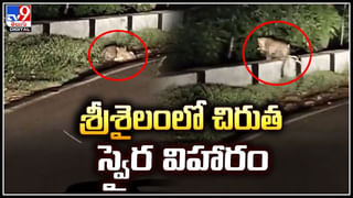 Warangal: వరంగల్‌ జిల్లాలో డబుల్‌ మర్డర్‌ కలకలం.. లవర్ ఫ్యామిలీని గొంతుకోసి హత్య.