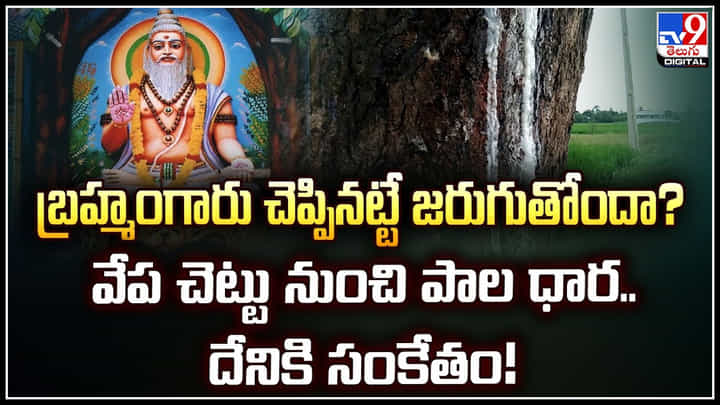 Viral: బ్రహ్మంగారు చెప్పినట్టే జరుగుతోందా.? వేప చెట్టు నుంచి పాల ధార.. దేనికి సంకేతం! Viral: బ్రహ్మంగారు చెప్పినట్టే జరుగుతోందా.? వేప చెట్టు నుంచి పాల ధార.. దేనికి సంకేతం!