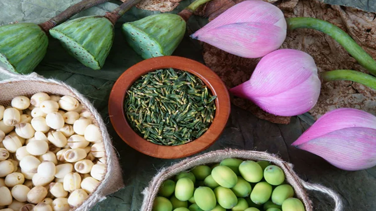 Lotus Seeds Benefits: తామర గింజలు ఇలా రోజూ తింటే.. క్యాన్సర్‌ సహా అనేక వ్యాధులకు దివ్యౌషధం..!