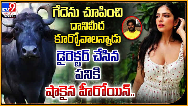 గేదెను చూపించి దానిమీద కూర్చోవాలన్నాడు.. డైరెక్టర్ చేసిన పనికి షాకైన హీరోయిన్.. గేదెను చూపించి దానిమీద కూర్చోవాలన్నాడు.. డైరెక్టర్ చేసిన పనికి షాకైన హీరోయిన్..