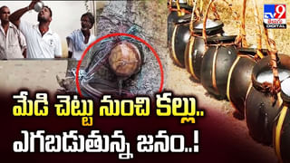 అనంత్‌-రాధికల పెళ్లికి ప్రభుత్వం సెలవు ప్రకటించాలి !!