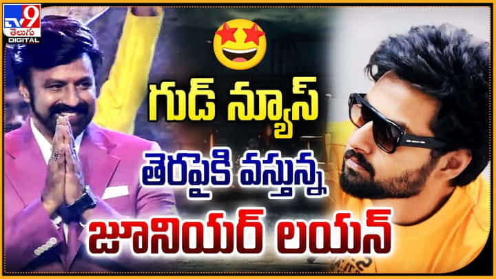 గుడ్ న్యూస్.. తెరపైకి వస్తున్న జూనియర్ లయన్ గుడ్ న్యూస్.. తెరపైకి వస్తున్న జూనియర్ లయన్