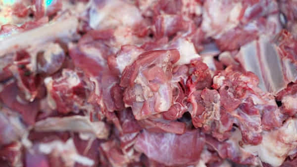 Dog Meat: మటన్ పేరుతో.. బెంగళూరుకు కుక్క మాంసం రవాణా.. నిజమేనా...