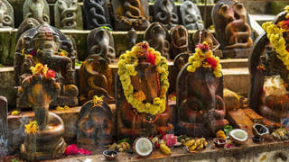 Kamika Ekadashi: కామికా ఏకాదశి ఎప్పుడు? ఉపవాసం చేయడం ఎలా? ఎప్పుడు విరమించాలి పూర్తి వివరాలు