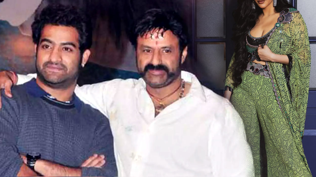 బాలయ్యబాబుతో భారీ హిట్ కొట్టింది.. ఎన్టీఆర్తో ఫ్లాప్ అందుకుంది.. ఈ హీరోయిన్ ఎవరో తెలుసా.?