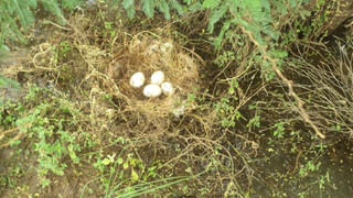 Andhra Pradesh: చిట్టీల పేరుతో ఘరనా మోసం.. రాత్రికి రాత్రే రూ. రెండు కోట్లతో జంప్‌