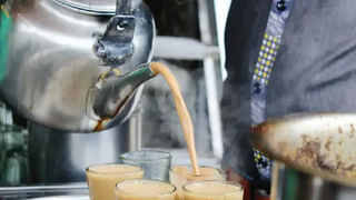 Premature Graying of Hair: చిన్న వయసులోనే జుట్టు తెల్లబడటానికి అసలు కారణం ఇదేనట..!