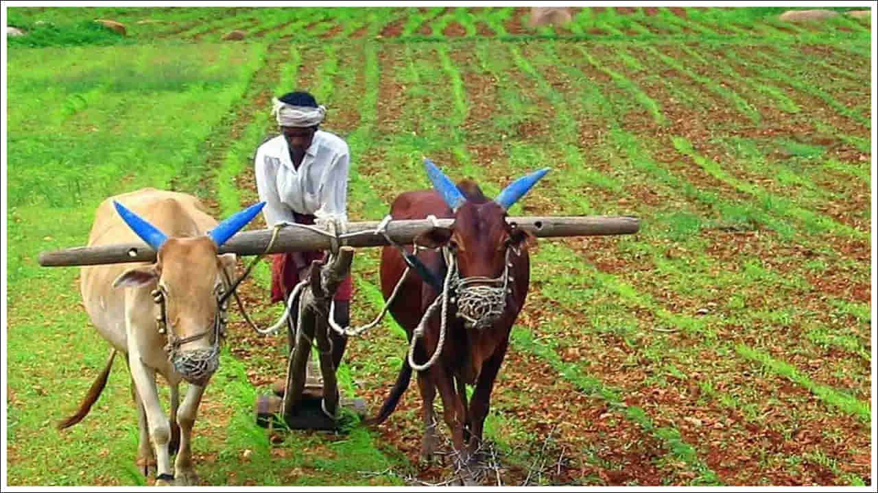 PM Kisan: పీఎం కిసాన్ లబ్ధిదారులు ఫోన్ నంబర్ అప్ డేట్ చేసుకోవాలంటే ఎలా? చాలా సింపుల్ ఇలా చేయండి..