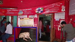 GDCCB Bank: అసలు బ్యాంక్ ముఖమే చూడనివారి పేరున రూ. లక్షల్లో రుణాలు..!