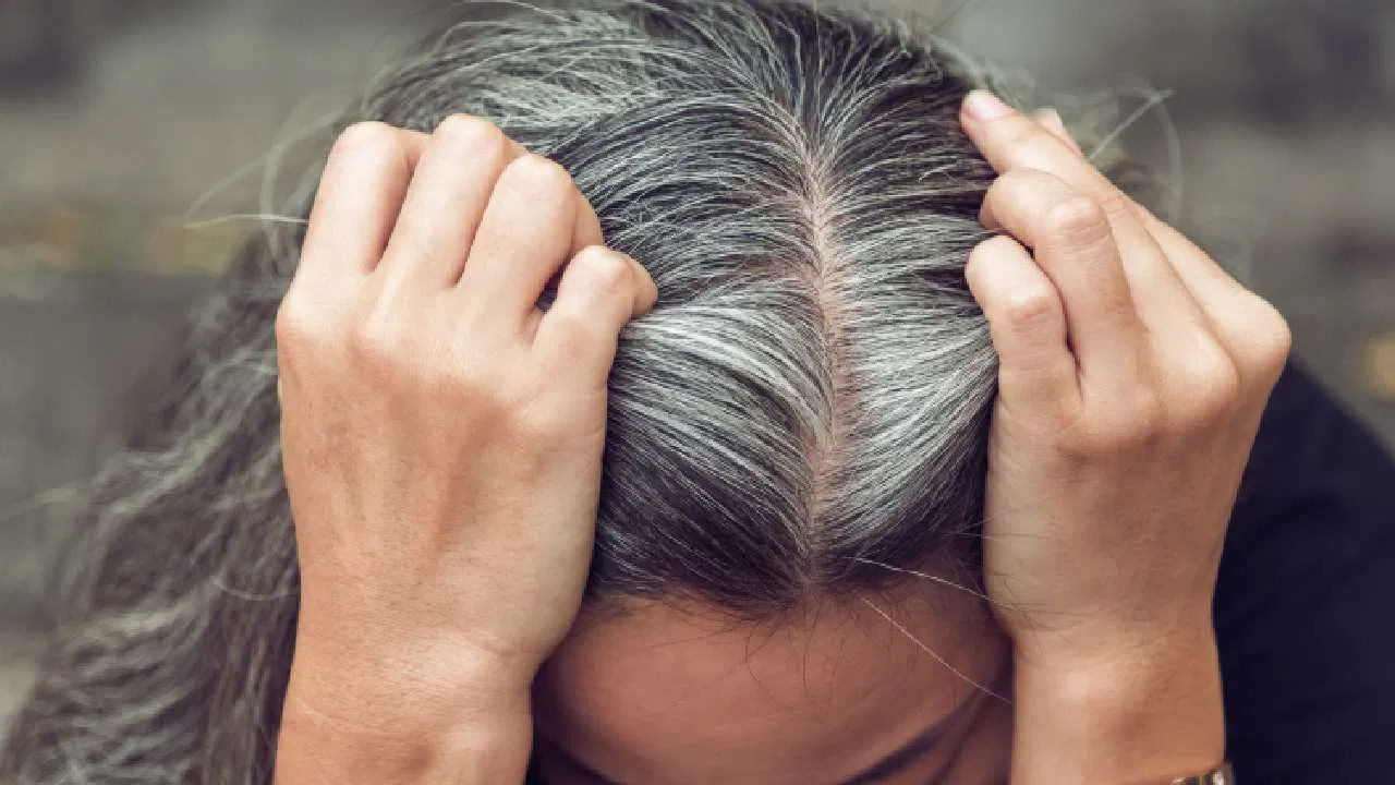 Premature Graying of Hair: చిన్న వయసులోనే జుట్టు తెల్లబడటానికి అసలు కారణం ఇదేనట..!