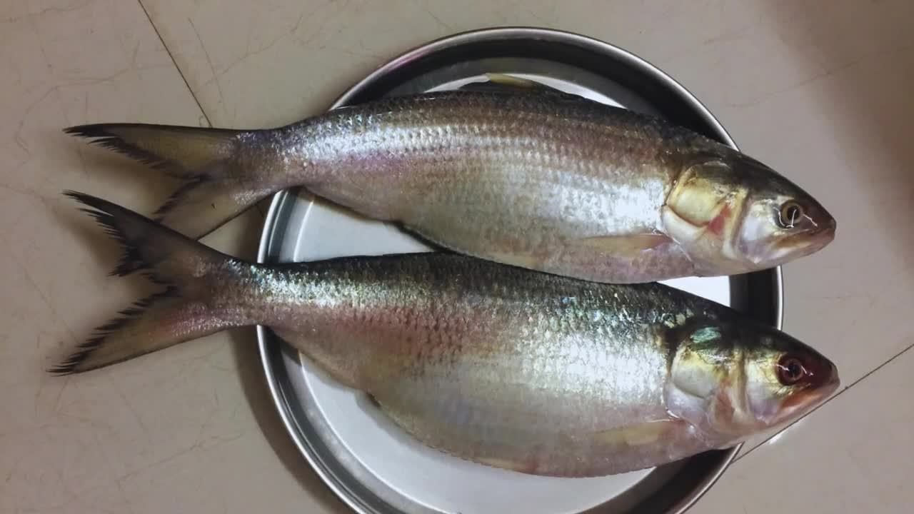 Pulasa Fish: పులస చేప తింటున్నారా.. అయితే ఈ విషయాలు మీ కోసమే!