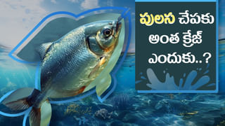 AP Schools: పాఠశాలల్లో సీబీఎస్‌ఈ, టోఫెల్‌ అమలుపై మంత్రి లోకేశ్‌ కీలక ప్రకటన