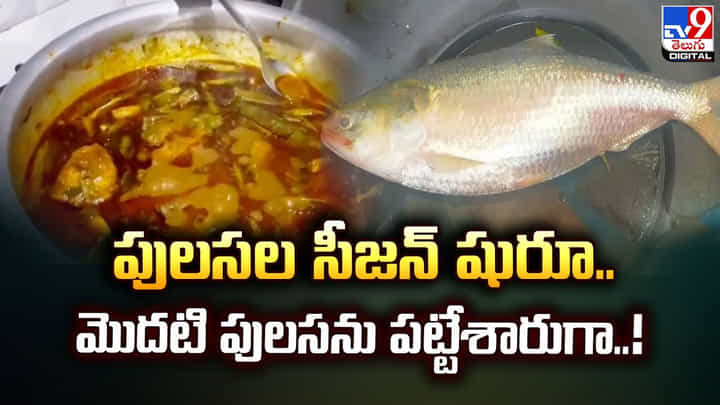 పులసల సీజన్ షురూ.. మొదటి పులసను పట్టేశారుగా పులసల సీజన్ షురూ.. మొదటి పులసను పట్టేశారుగా