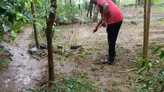 AP Weather: ఏపీలో ఇంకా వానలు ఉన్నాయా..? ఇదిగో లేటెస్ట్ వెదర్ రిపోర్ట్