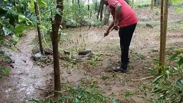 AP News: ఇంటి పెరట్లో నుంచి వింత శబ్దాలు.. ఏంటా అని వెళ్లి చూడగా