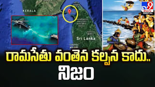 West Nile Virus: మానవాళిని భయపెడుతోన్న మరో వైరస్.. ఈ లక్షణాలు కనిపిస్తే  బీ కేర్‌ఫుల్‌.!