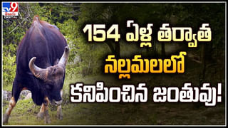 Viral: జేసీబీతో తవ్వకాలు జరుపుతుండగా బయటపడ్డ వింత వస్తువు.. వెలికితీసి చూడగా స్టన్