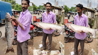 Watch Video: హెడ్ లైట్‎లో నల్లని ఆకారం.. కట్ చేస్తే బైక్ సర్వీసింగ్‎లో బయటపడ్డ పాము..