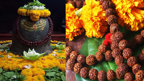 Shravana Masam: రుద్రాక్షను ధరించాలనుకుంటున్నారా శ్రావణ మాసం శుభప్రదం.. నియమాలు ఏమిటంటే?