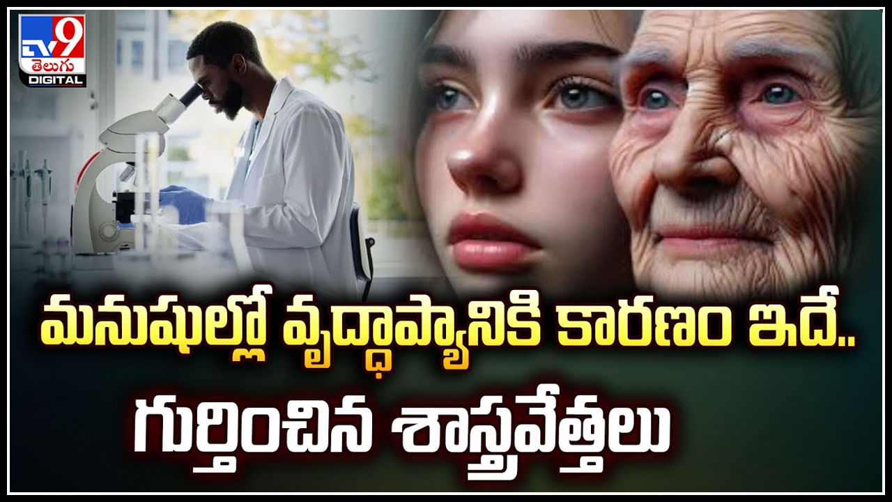 Aging: మనుషుల్లో వృద్ధాప్యానికి కారణం ఇదే.. గుర్తించిన శాస్త్రవేత్తలు.!
