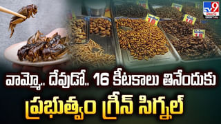 ఆయన తలపై గురిపెట్టుకున్న గన్స్‌ వేలం.. రూ. 15 కోట్లకు కొనుక్కున్న అజ్ఞాత వాసి