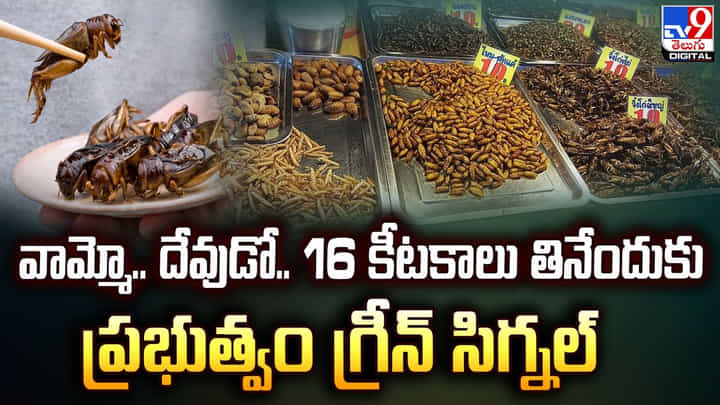 వామ్మో.. దేవుడో.. 16 కీటకాలు తినేందుకు ప్రభుత్వం గ్రీన్ సిగ్నల్ వామ్మో.. దేవుడో.. 16 కీటకాలు తినేందుకు ప్రభుత్వం గ్రీన్ సిగ్నల్