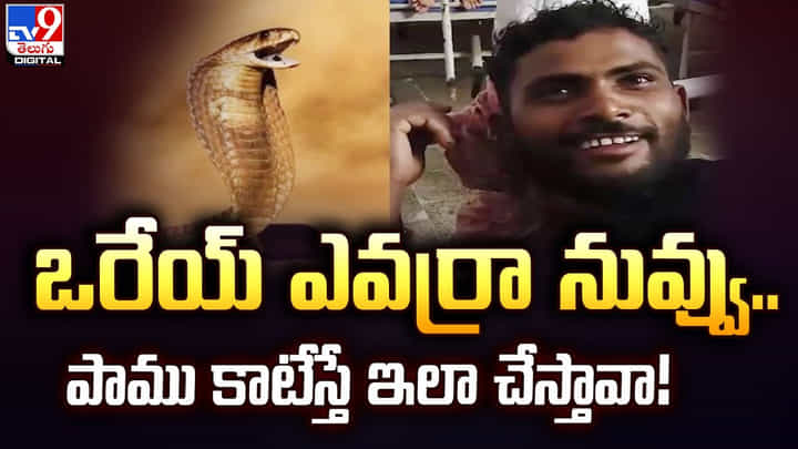 ఒరేయ్ ఎవర్రా నువ్వు.. పాము కాటేస్తే ఇలా చేస్తావా ఒరేయ్ ఎవర్రా నువ్వు.. పాము కాటేస్తే ఇలా చేస్తావా