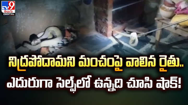 నిద్రపోదామని మంచంపై వాలిన రైతు.. ఎదురుగా సెల్ఫ్లో ఉన్నది చూసి షాక్ నిద్రపోదామని మంచంపై వాలిన రైతు.. ఎదురుగా సెల్ఫ్లో ఉన్నది చూసి షాక్