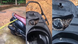 Watch: కేదార్‌నాథ్ ఆలయం వెనుక భారీ హిమపాతం.. భయానక వీడియో వైరల్‌